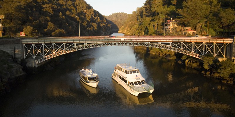 tamar river cruises